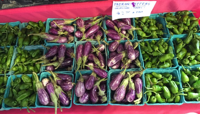 Baby Eggplant and Peppers photo by Kathy Miller