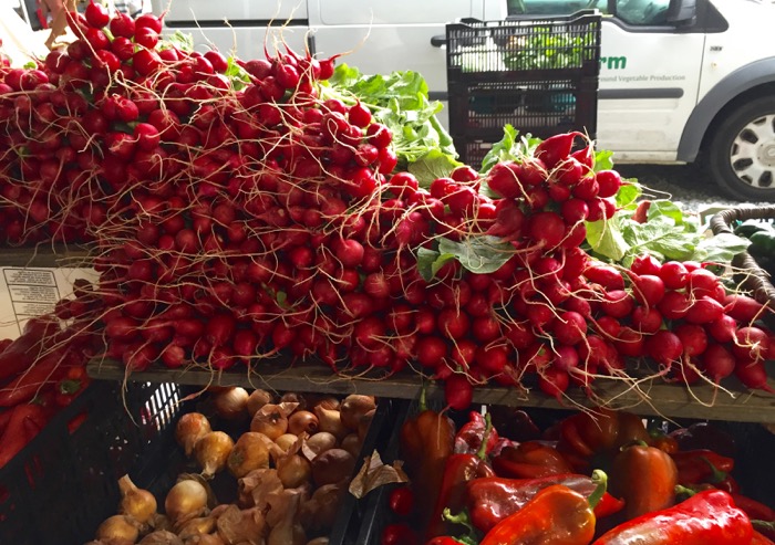 Radishes Durham Farmers Market phtoto by Kathy Miller