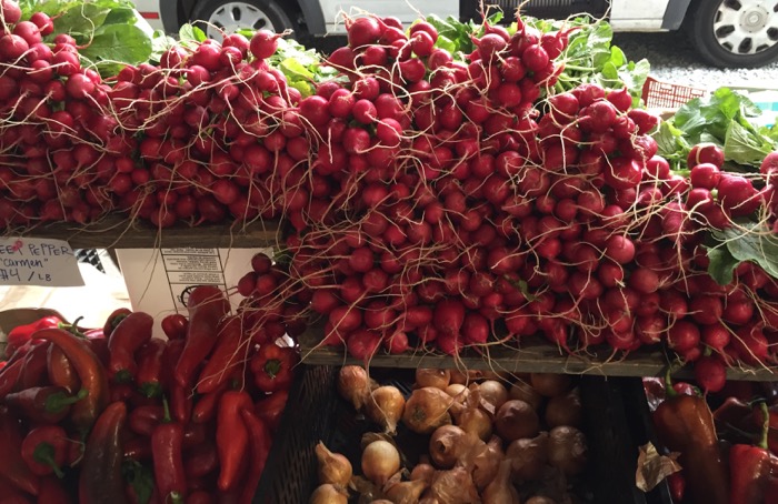 More radishes farmers market Durham, NC photo by Kathy Miller