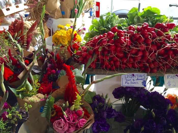 Radishes and Florals photo by Kathy Miller