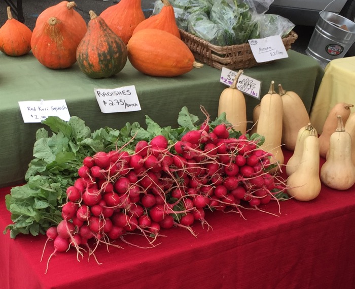 Radishes and Buternut Squash photo by Kathy Miller