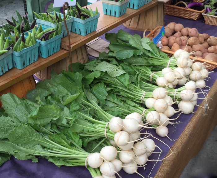 Onions photo by Kathy Miller