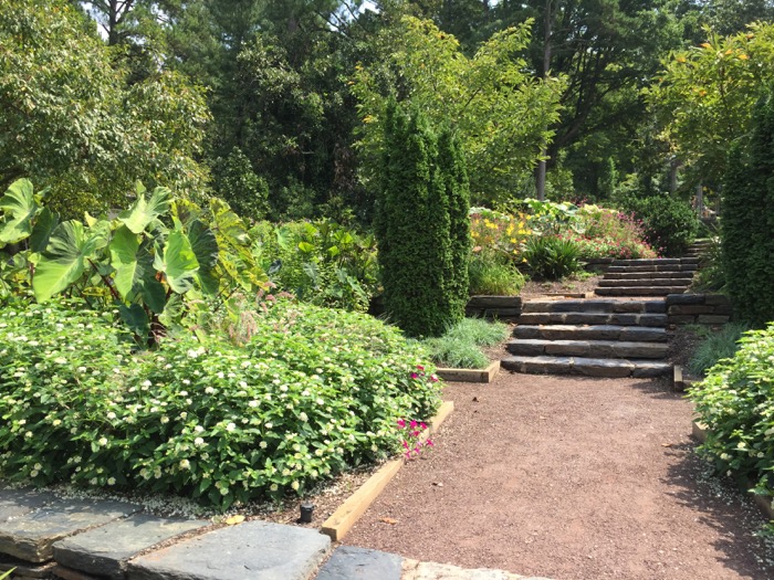 Duke Gardens pathway photo by Kathy Miller