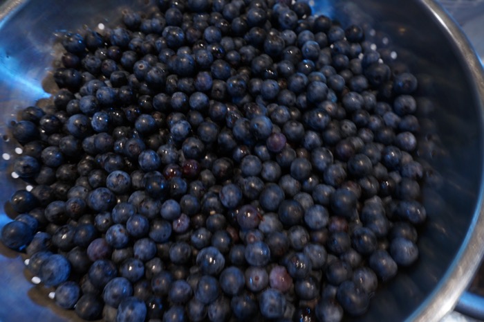 Fresh blueberries from the Blueberry Ranch photo by Kathy Miller