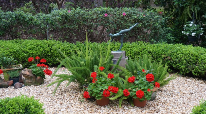 Red geraniums and ferns with garden statue photo by Kathy Miller