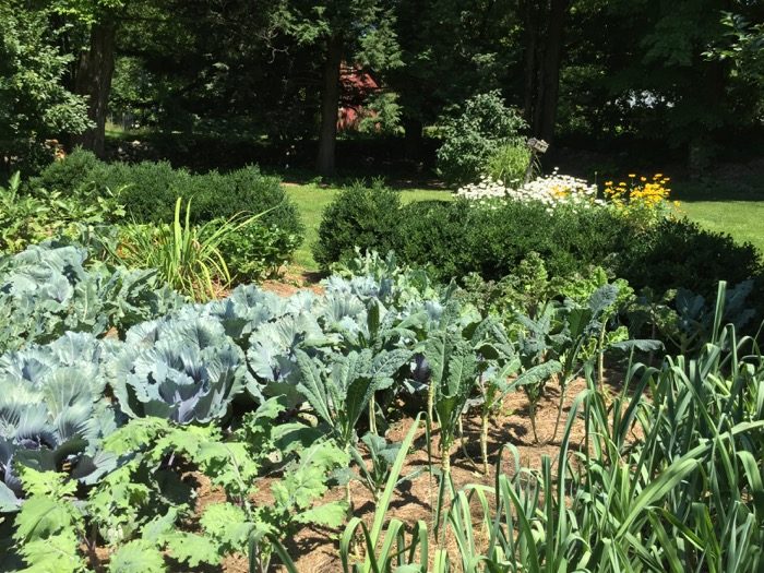 Sissy's Kitchen Vegetable Garden photo by Kathy Miller