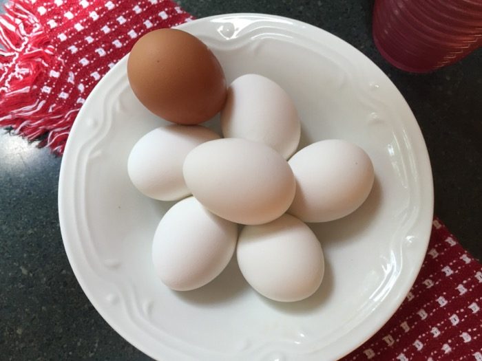 Fresh Vermont Eggs photo by Kathy Miller