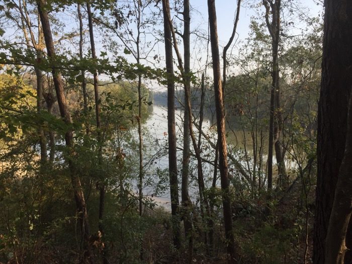 The high bluff above the Savannah River, New Ebenezer, Ga photo by Kathy Miller