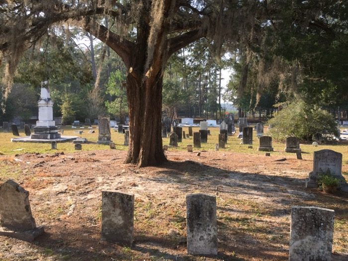 Jerusalem Church Cemetery, Ebenzer, Ga large oak tree photo by Kathy Miller