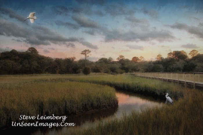 Marsh At Sunset With Birds II photograph by Steve Leimberg