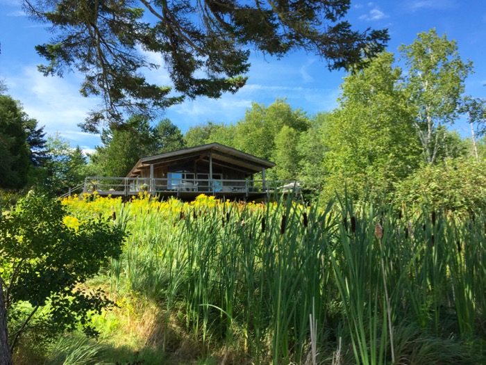 1960's cottage in Surry Maine photo by Kathy Miller