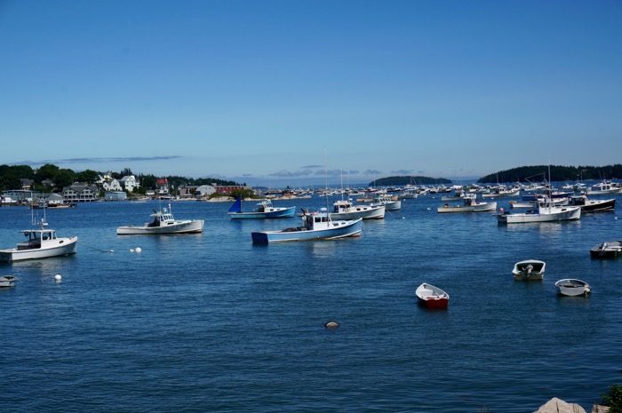 Stonington Harbor with hundreds of boats photo by Kathy Miller