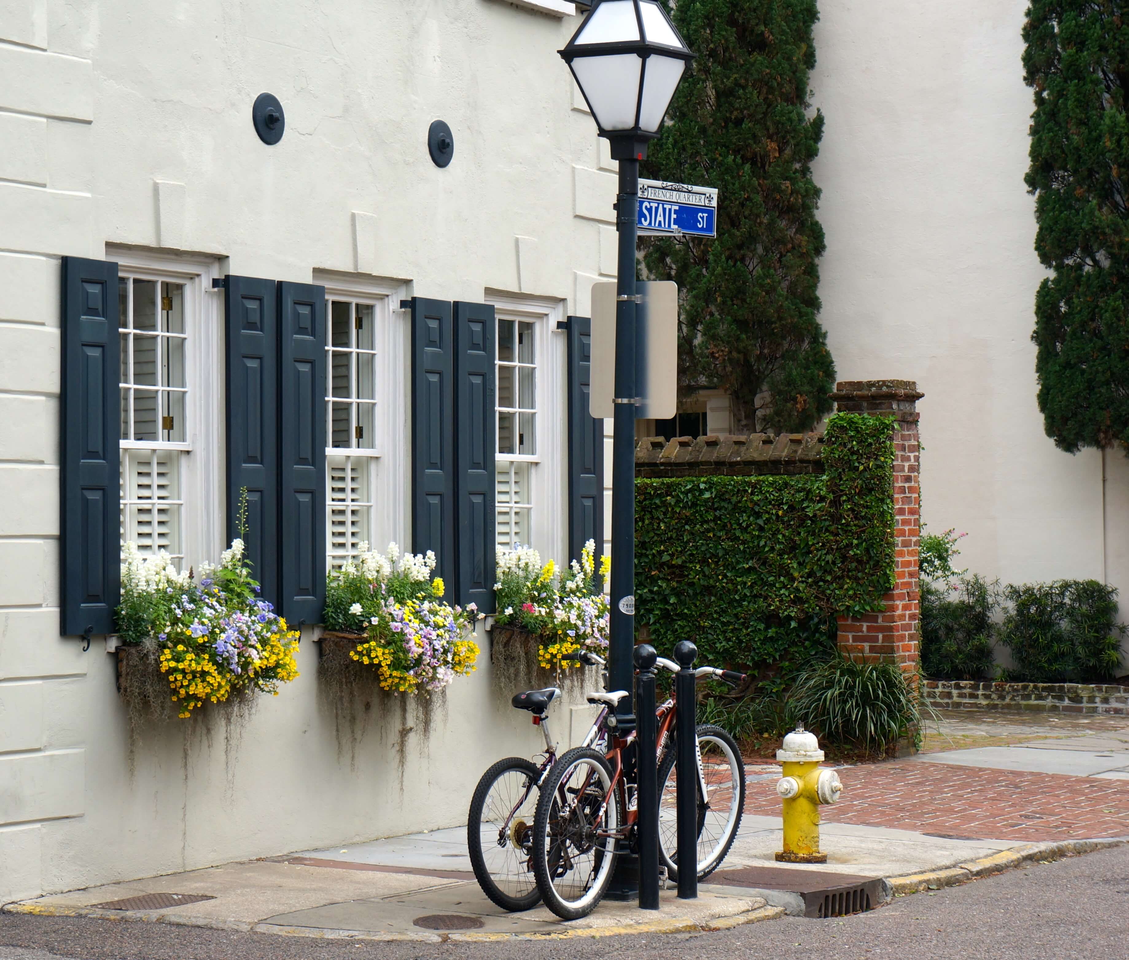 Charleston window boxes with yellow fire hydrant photo by Kathy Miller