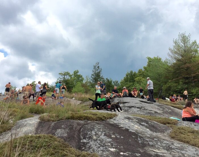 Dogs and people having fun on Little Green Mountain waiting solar eclipse 2017 photo by Kathy Miller