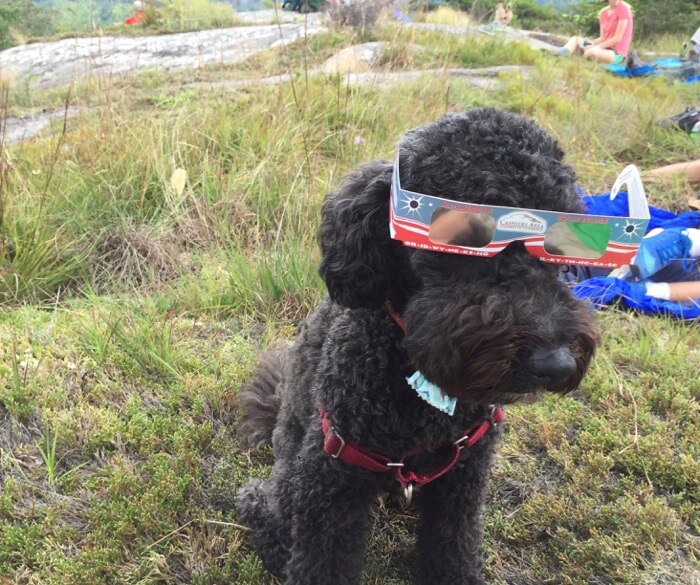 Sheldon with his eclipse glasses photo by Kathy Miller