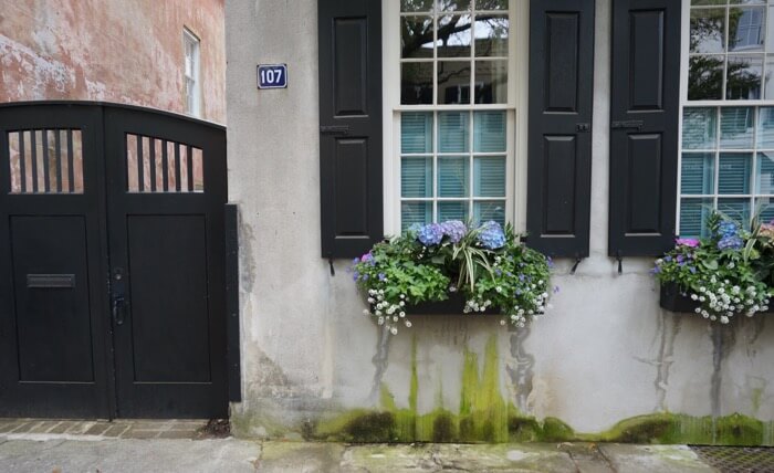 Window Boxes in Charleston, SC photo by Kathy Miller