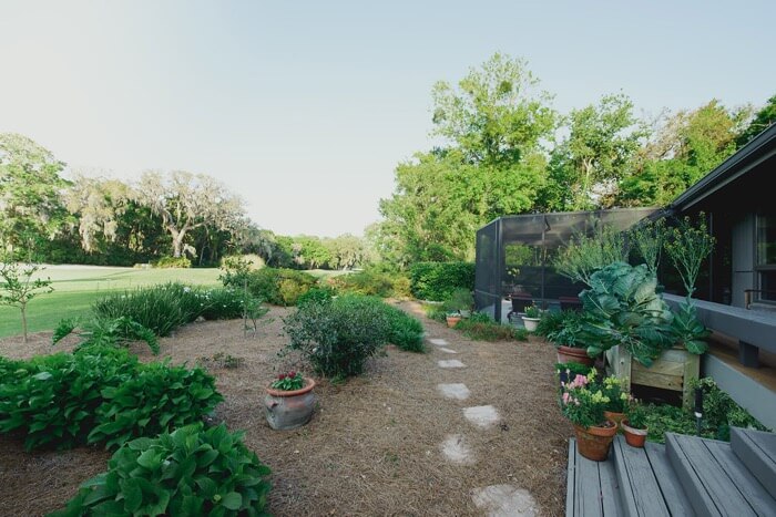 Sunny backyard garden Paula and Bronson Lamb's home photo by Page Tehan