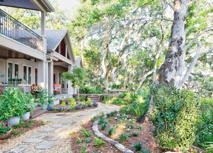 Wilsterman back yard with tomato plants photo by Susan Scarborough