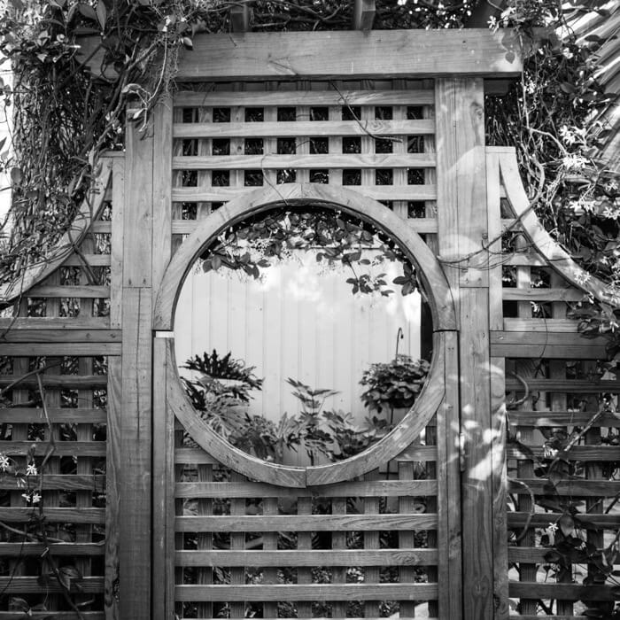 Wilsterman's courtyard gate black and white photo by Susan Scarborough