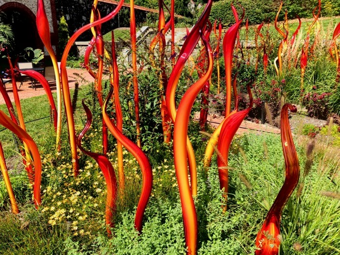 Cattails and Copper Birch Reeds 2015-Chihuly at Biltmore photo by Kathy Miller