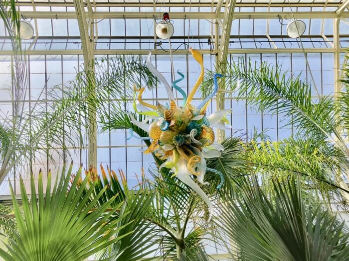 Chandelier-Chihuly at Biltmore photo by Kathy Miller