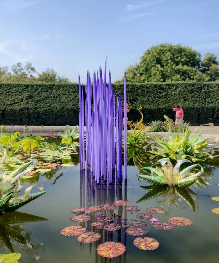 Love the purple reeds-Chihuly at Biltmore photo by Kathy Miller