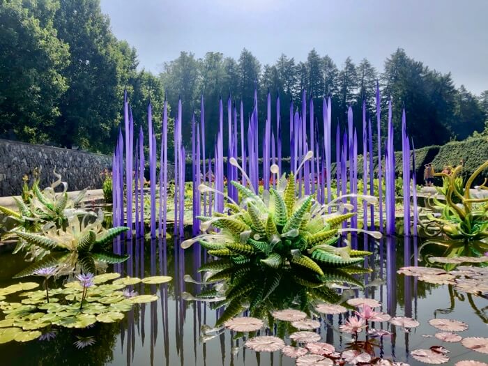 Neodymium Reeds with Fiori Verdi 2014-Chihuly at Biltmore photo by Kathy Miller