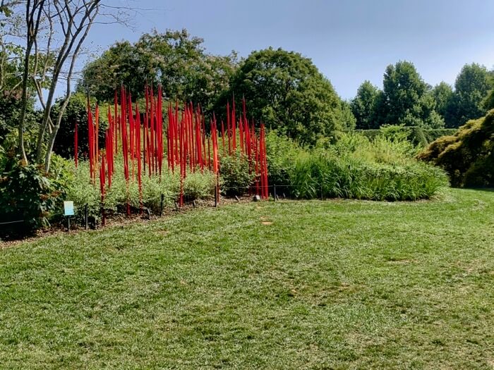 Red Reeds 2017- Chihuly at Biltmore photo by Kathy Miller