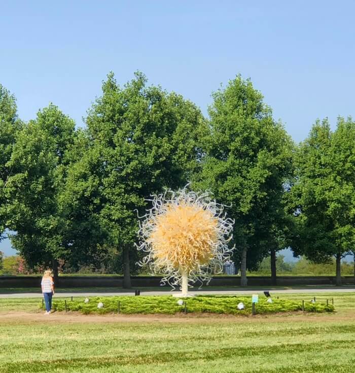 Sole d'Oro-Chihuly at Biltmore photo by Kathy Miller