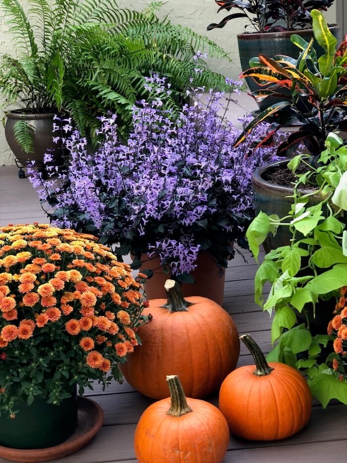 Fall front porch decorations photo by Kathy Miller