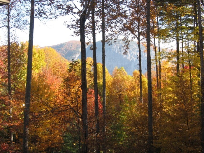 Fall colors from House Cashiers, NC photo by Kathy Miller