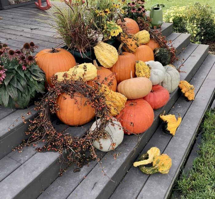 Fall heirloom pumpkins and gourds photo by Kathy Miller