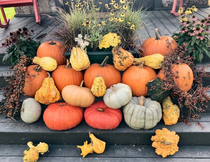 Fall heirloom pumpkins and squash photo by Kathy Miller