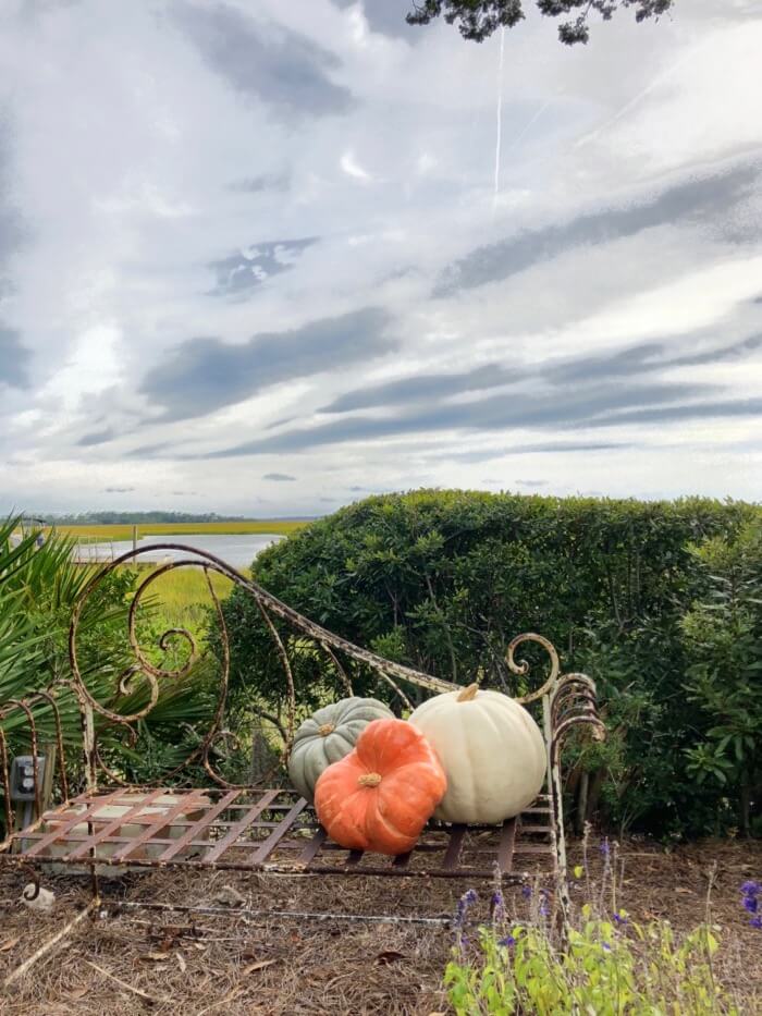 Heirloom pumpkins with a glorious sky and marsh view photo by Kathy Miller