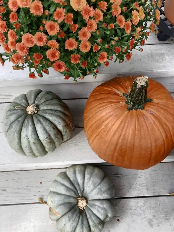 Pumpkin fun photo by Kathy Miller