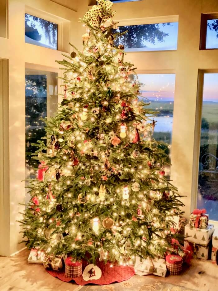 Christmas Tree on Marsh Creek photo by Kathy Miller