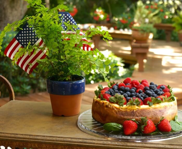 Blueberry, Raspberry, and Strawberry Cheesedake photo by Kathy Miller