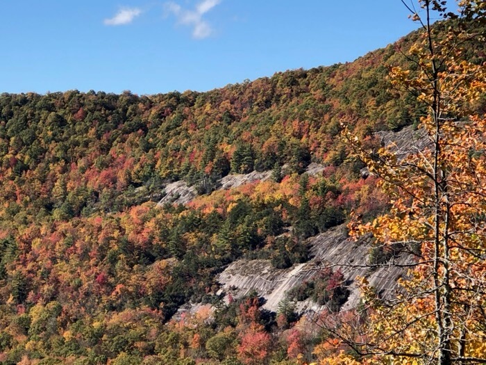 Colors of Fall photo by Kathy Miller