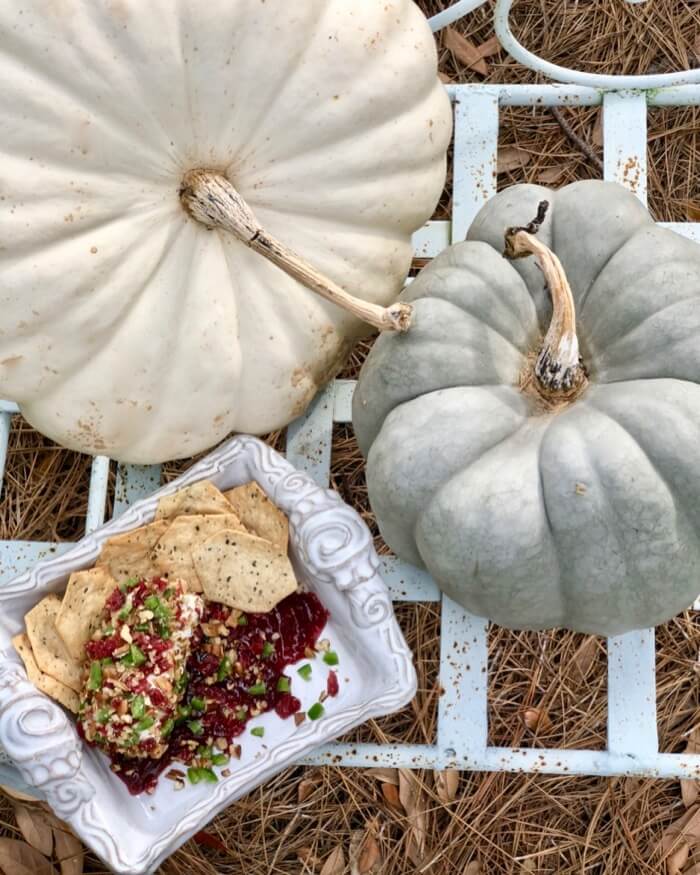 Cranberry and Pecan Goat Cheese Spread with fall heirloom pumpkins photo by Kathy Miller