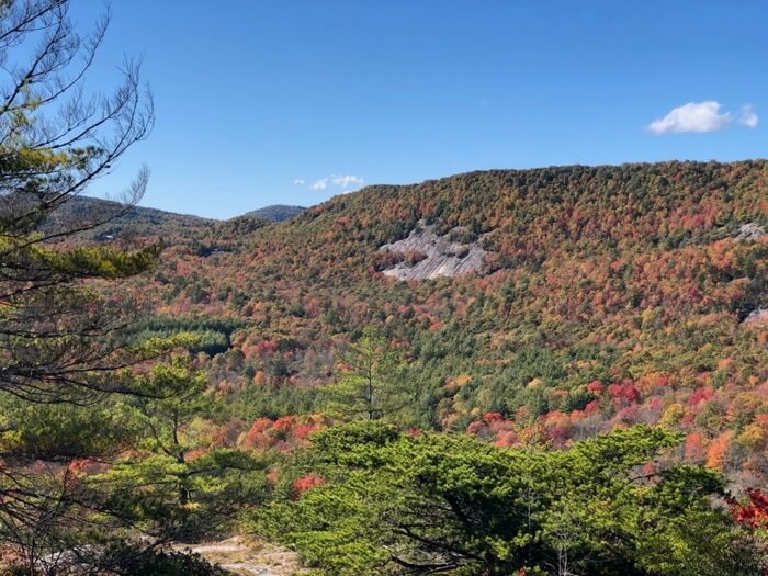 In Panthertown looking to Black Rock Mountain photo by Kathy Miller