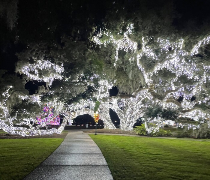 The Oaks at Jekyll Island Club photo by Kathy Miller