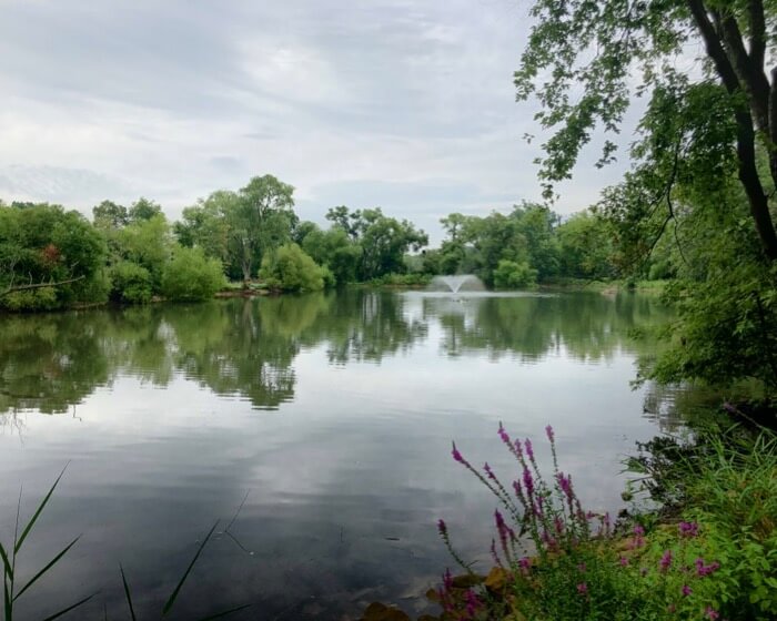 The pond at Pheasant Field B&B