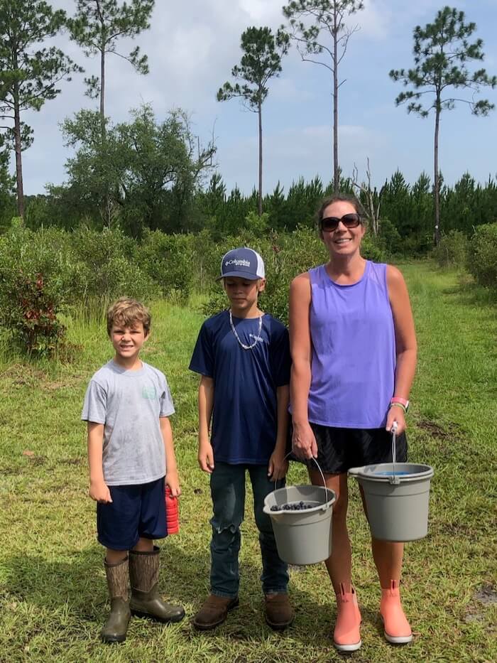 Aunt Gigi, Grady and Cooper picking blueberries