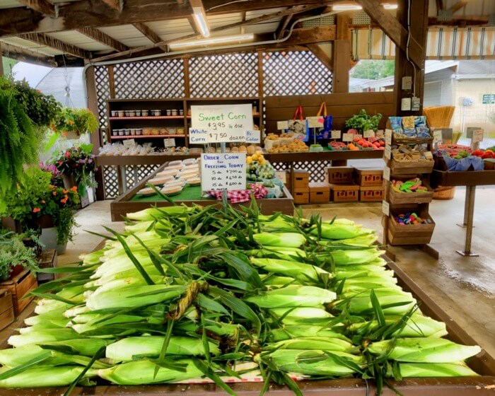 Corn at Garden Gate Farm Market photo by Kathy Miller