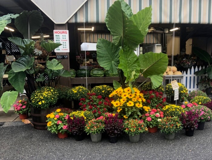 Fall flowers at The Garden Gate Farm Market photo by Kathy Miller