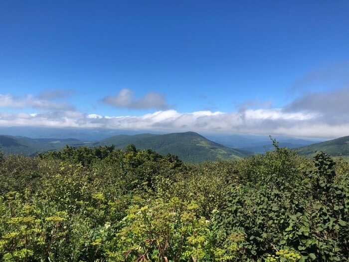 North Carolina mountain hike photo by Kathy Miller