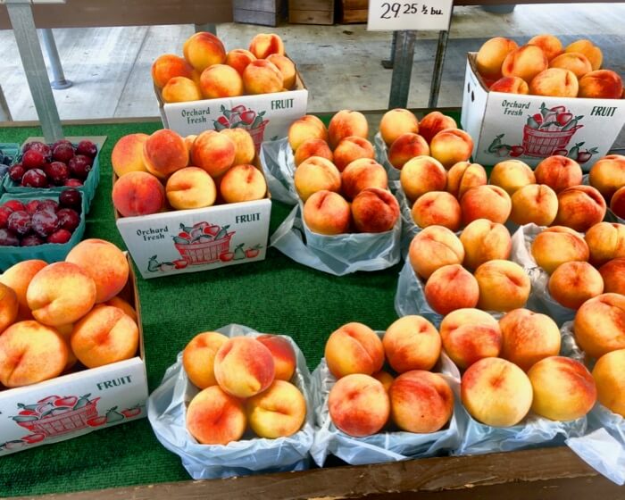 Pennsylvania peaches photo by Kathy Miller