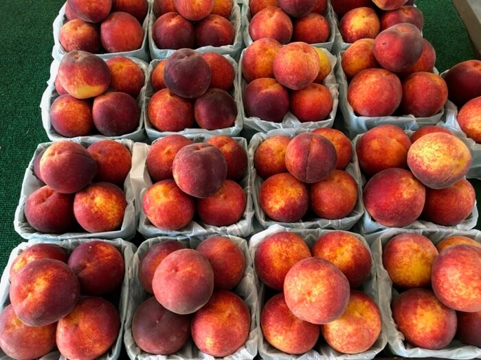 Pennsylvania peaches in Amish Country photo by Kathy Miller