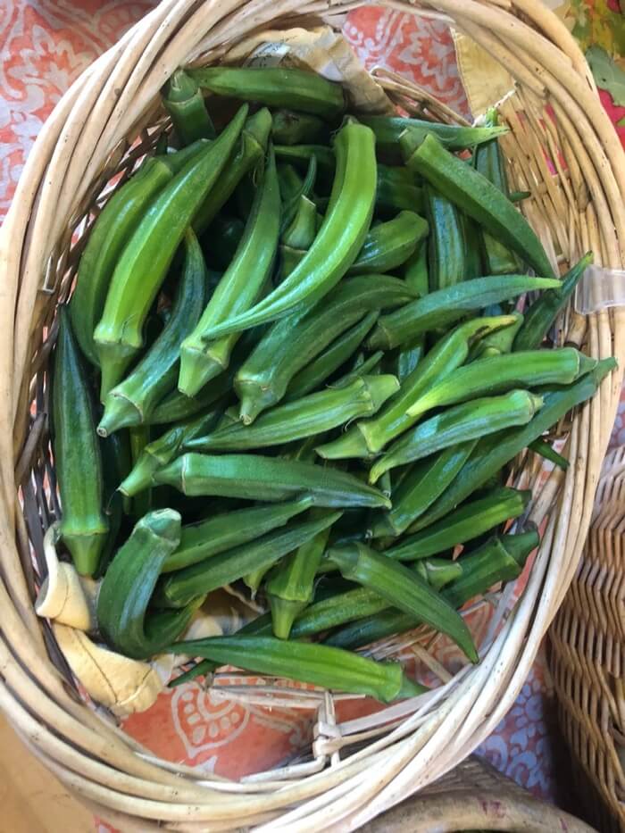 Beautiful okra at Clear Brook Farms in Vermont photo by Kathy Miller