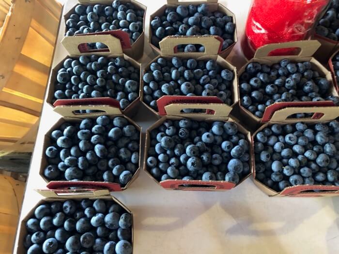 Blueberries at Clear Brook Farm photo by Kathy Miller